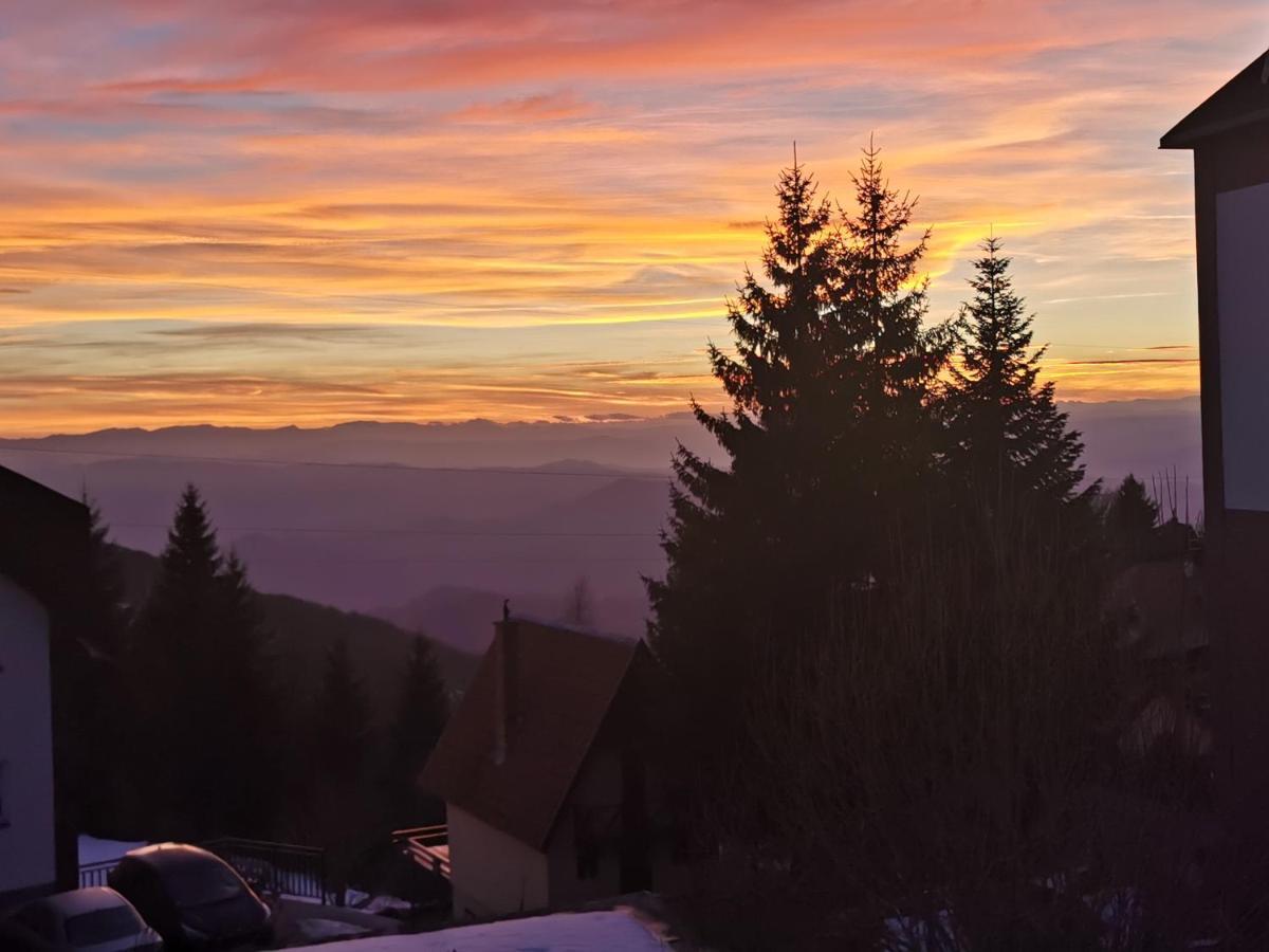 Car 1 Apartment Kopaonik Bagian luar foto